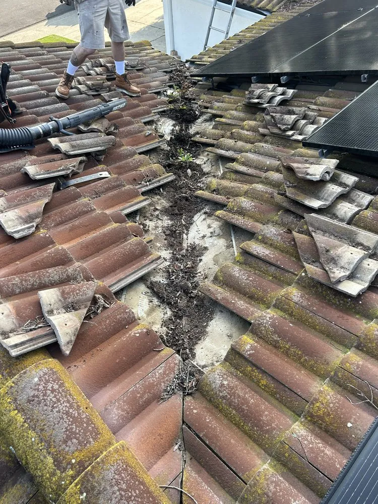 Top-rated residential landscaping in Fairfield, CA - Vargas Ponce Landscaping