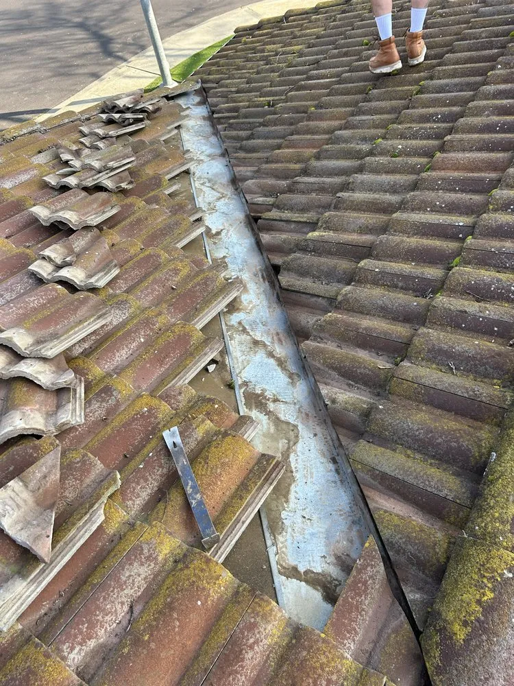 Reliable yard maintenance experts serving Fairfield, CA - Vargas Ponce Landscaping