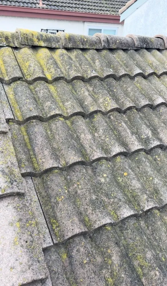 Local outdoor landscaping with custom design in Fairfield, CA by Vargas Ponce Landscaping