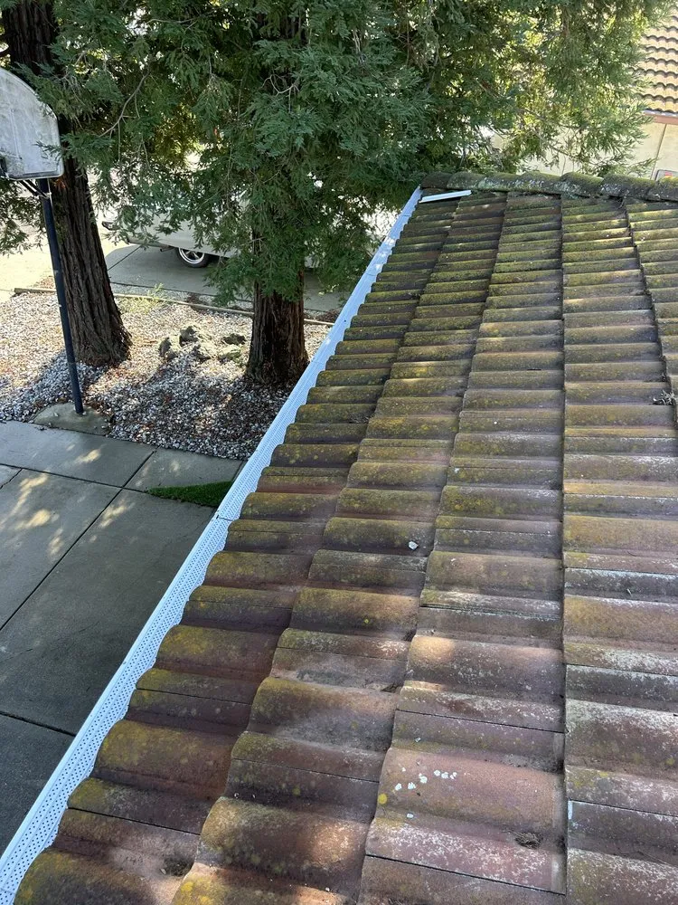 Affordable residential landscaping experts serving Fairfield, CA - Vargas Ponce Landscaping