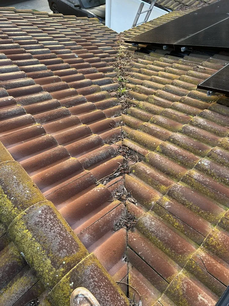 Local garden landscaping for homes across Fairfield, CA - Vargas Ponce Landscaping