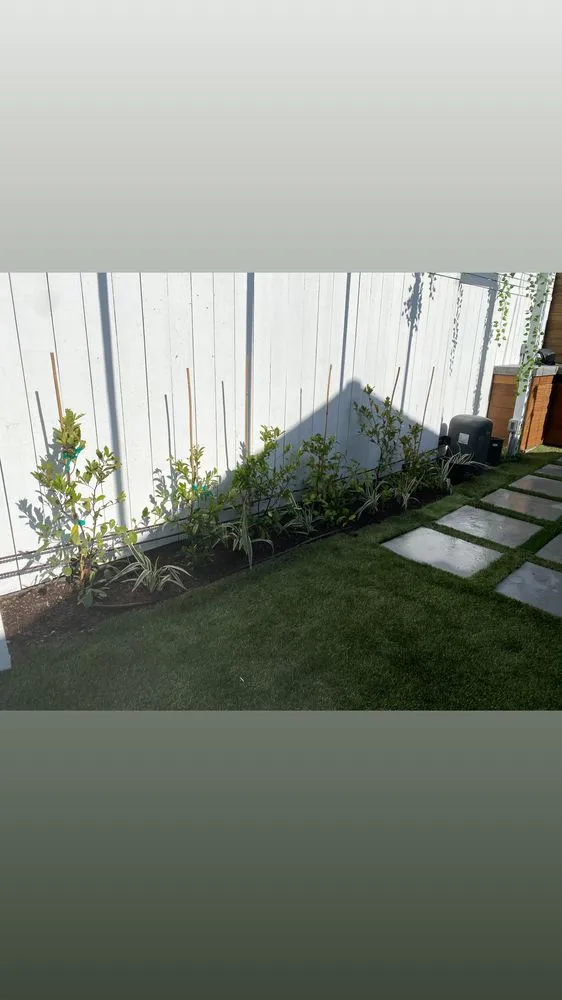 Custom yard cleanup service in Inglewood, CA - Vargas Sons Landscaping