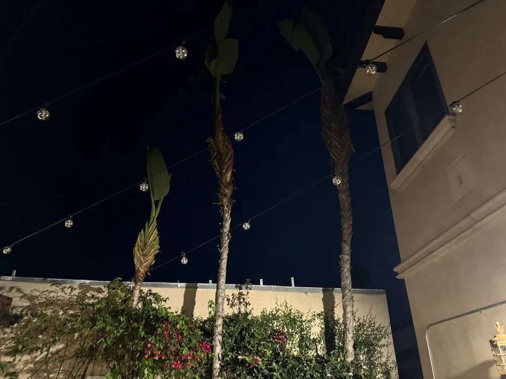 Reliable residential landscaping experts serving Inglewood, CA - Vargas Sons Landscaping