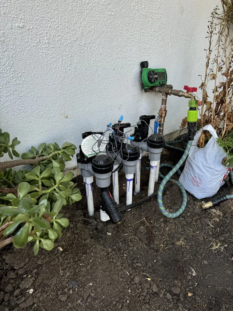 Custom garden landscaping in Inglewood, CA - Vargas Sons Landscaping