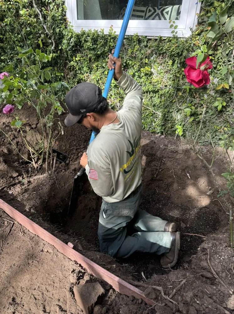 Reliable yard cleanup service for beautiful yards in Inglewood, CA by Vargas Sons Landscaping