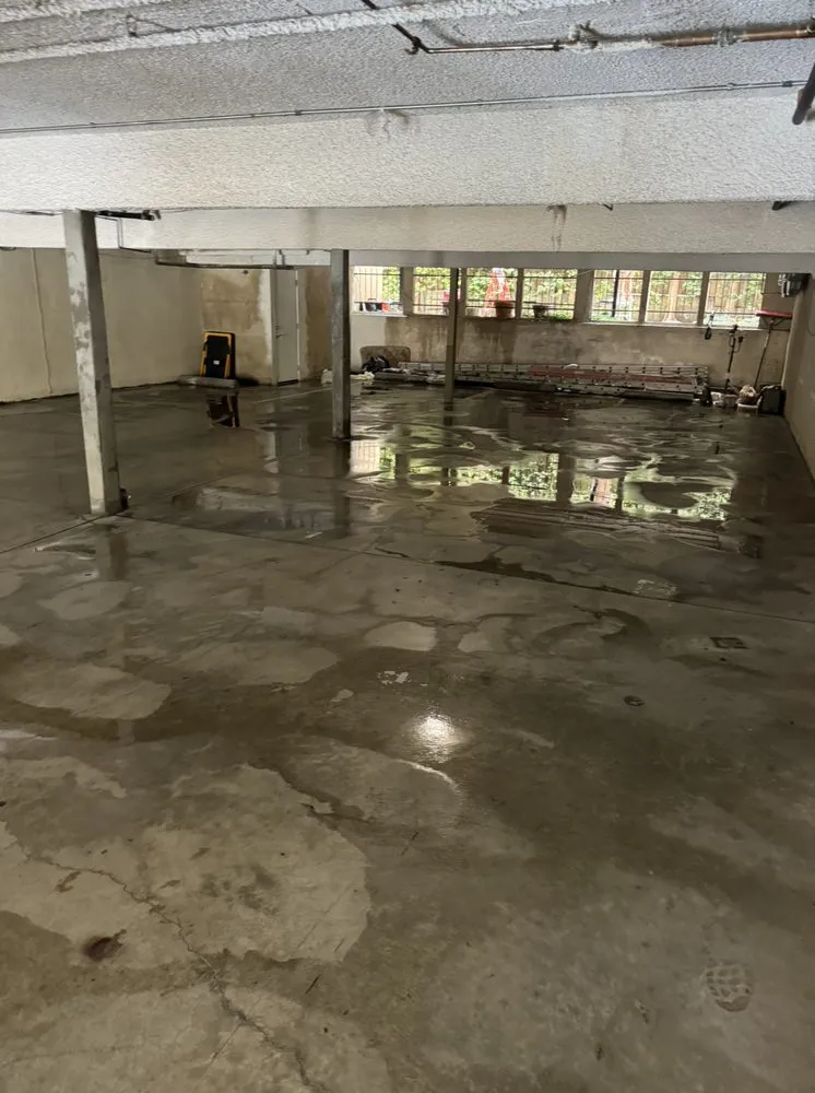 Top-rated landscaping services in Inglewood, CA - Vargas Sons Landscaping