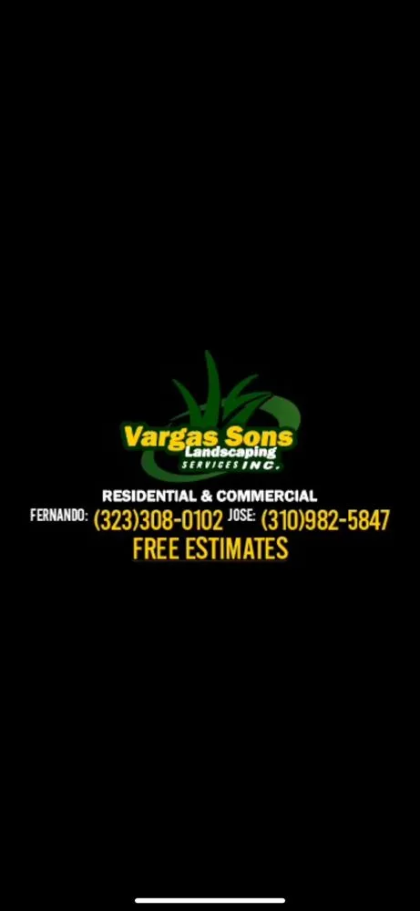 Reliable yard cleanup service in Inglewood, CA by Vargas Sons Landscaping