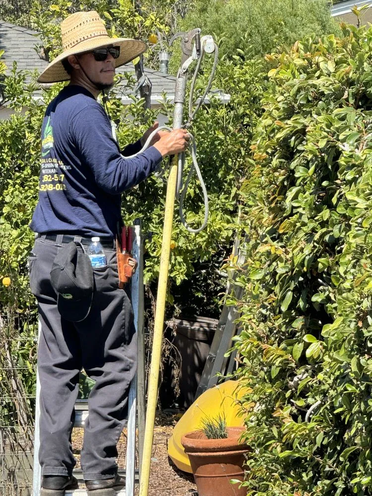 Top-rated outdoor landscaping in Inglewood, CA - Vargas Sons Landscaping