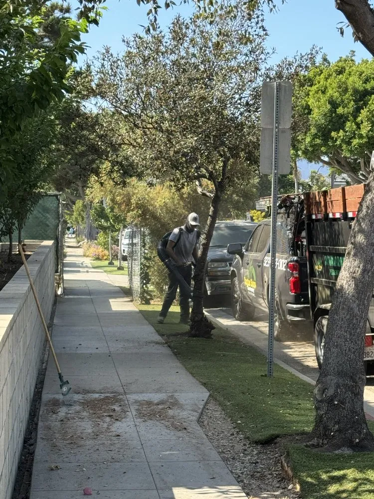 Top-rated lawn mowing service for homes in Inglewood, CA by Vargas Sons Landscaping