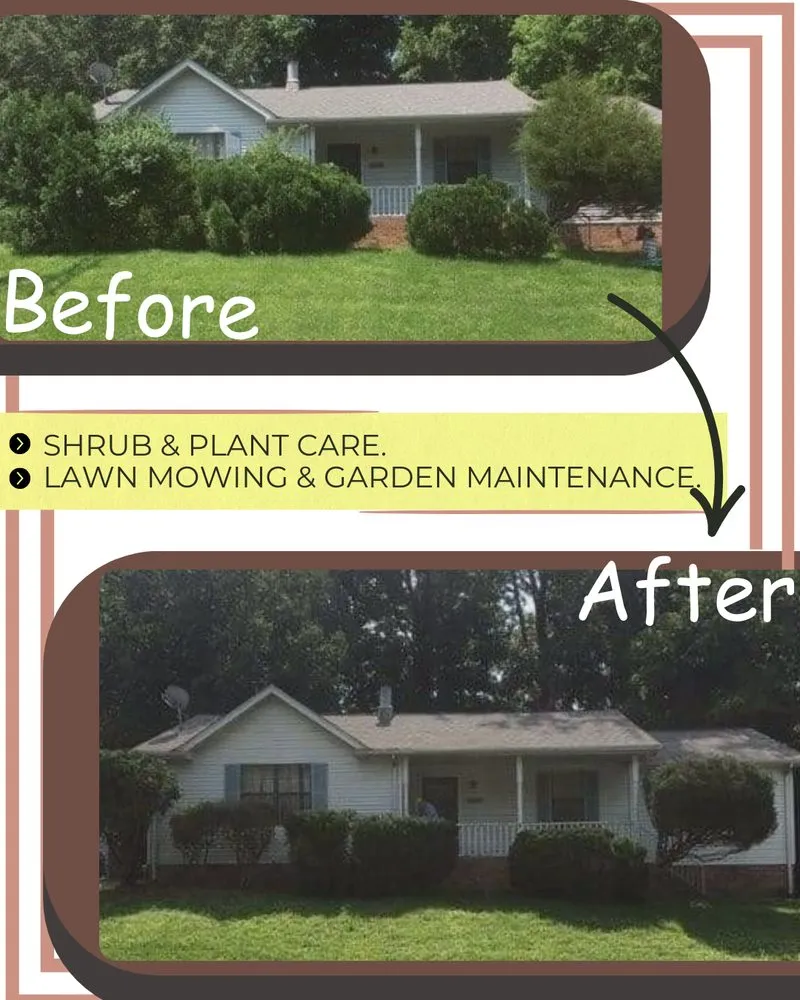 Expert garden landscaping for year-round maintenance in Nashville-Davidson metropolitan government (balance), TN by Vargas Tree Landscaping Services