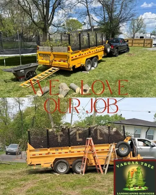 Reliable landscaping services with custom design in Nashville-Davidson metropolitan government (balance), TN by Vargas Tree Landscaping Services