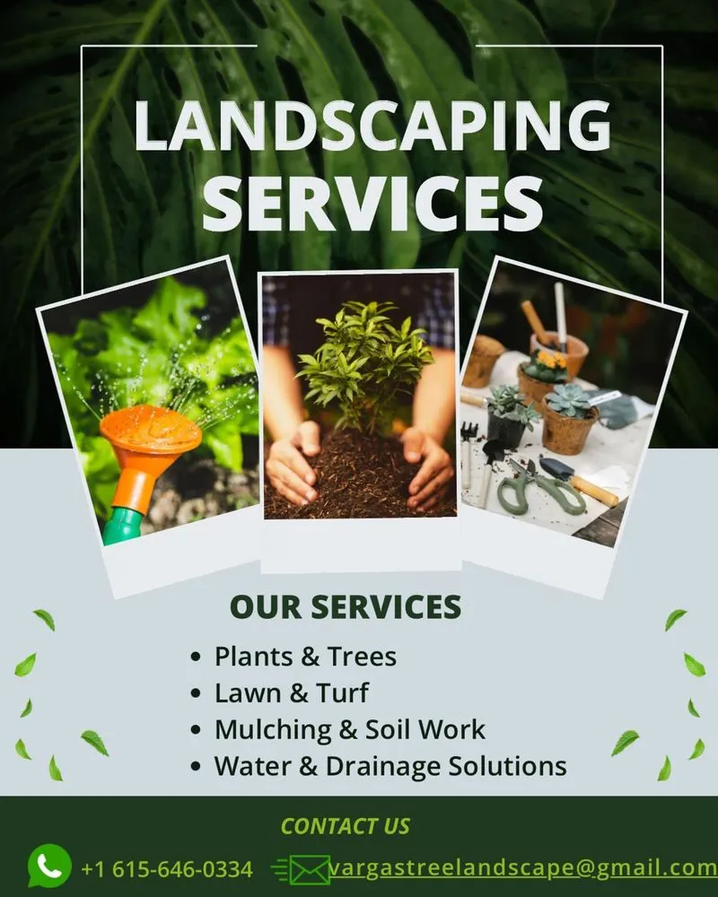 Reliable landscape installation experts serving Nashville-Davidson metropolitan government (balance), TN - Vargas Tree Landscaping Services