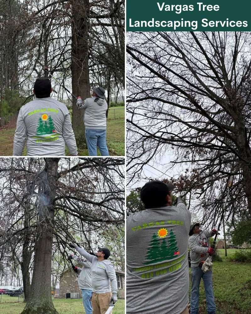 Professional lawn care service with custom design across Nashville-Davidson metropolitan government (balance), TN - Vargas Tree Landscaping Services