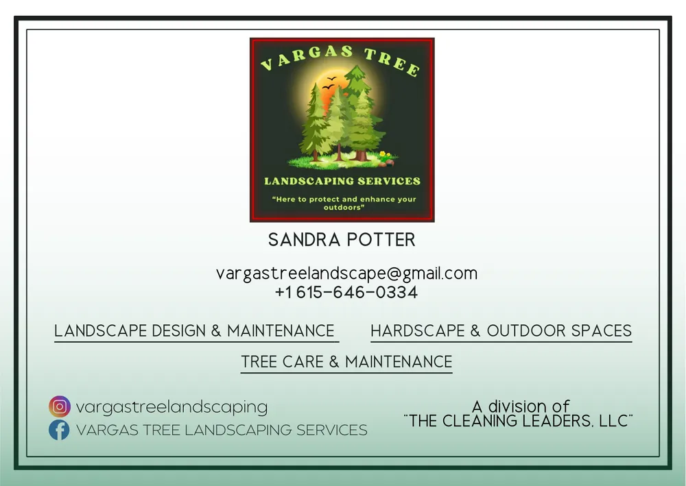 Expert yard cleanup service in Nashville-Davidson metropolitan government (balance), TN - Vargas Tree Landscaping Services