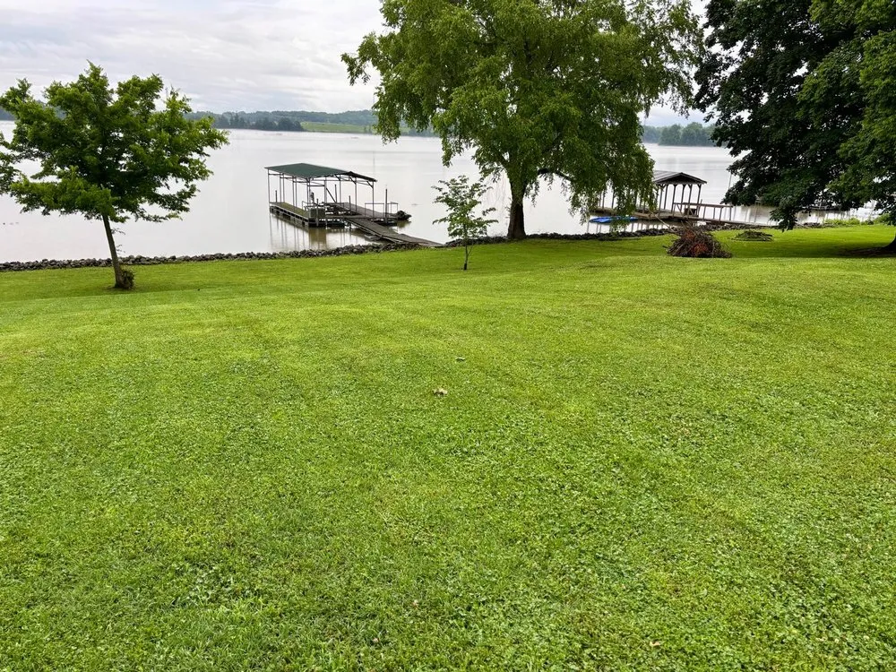 Top-rated landscaping services in Nashville-Davidson metropolitan government (balance), TN - Vargas Tree Landscaping Services