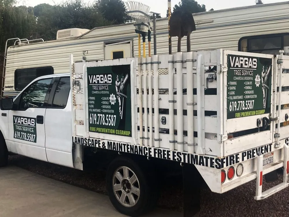 Trusted yard cleanup service in Alpine, CA - Vargas Tree Service