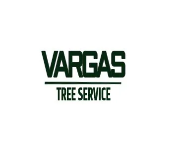 Affordable residential landscaping in Alpine, CA - Vargas Tree Service