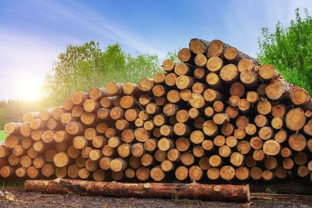 Reliable garden landscaping experts serving Succasunna, NJ - Vargas Tree Service