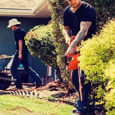 Vargason Landscaping Logo