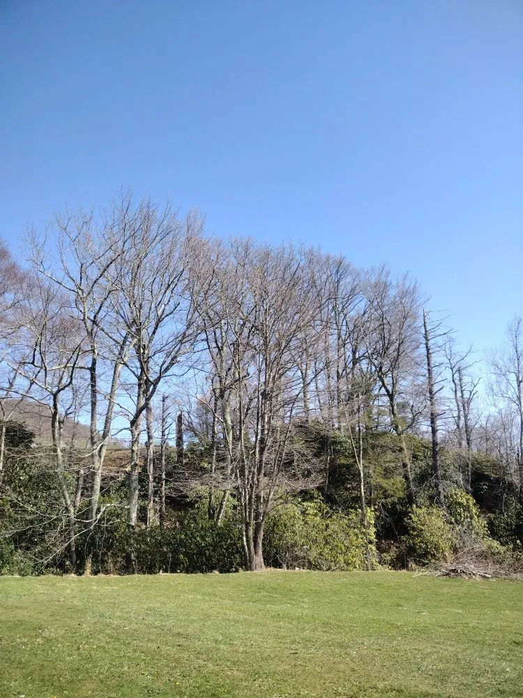 Expert landscape installation experts serving Banner Elk, NC - vargason lanscaping