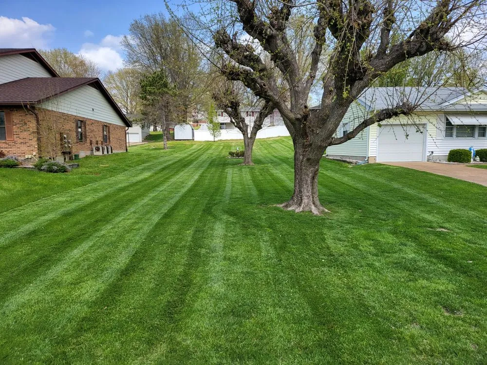 Custom yard maintenance in Villa Ridge, MO by Vargr lawncare services