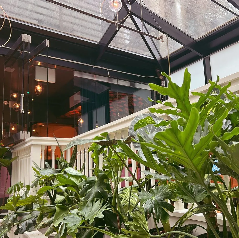 Custom yard cleanup service in Brooklyn, NY by Variegated NYC