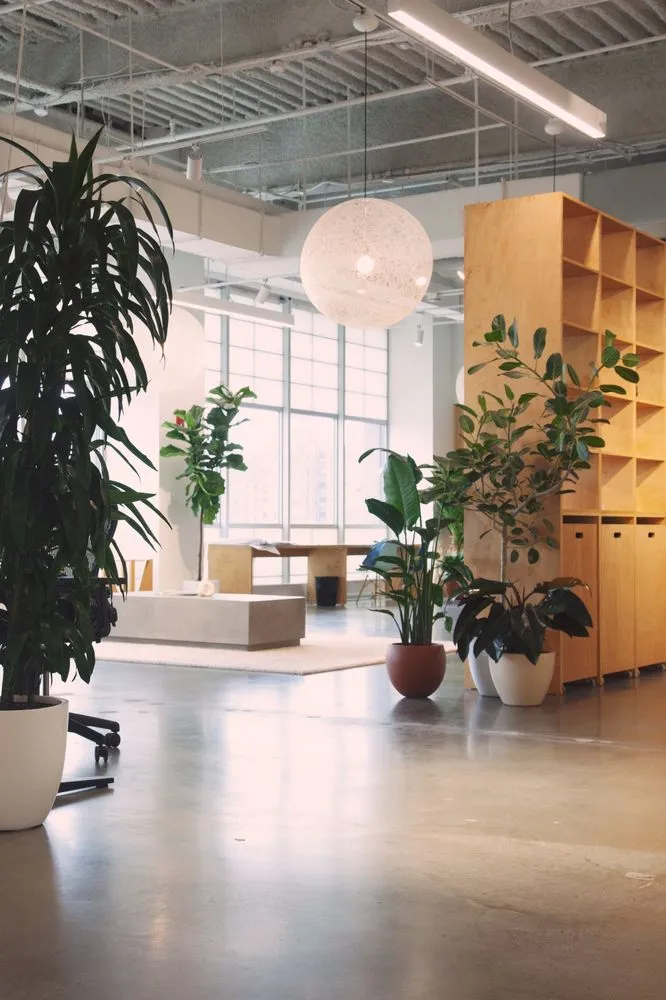 Local residential landscaping in Brooklyn, NY by Variegated NYC