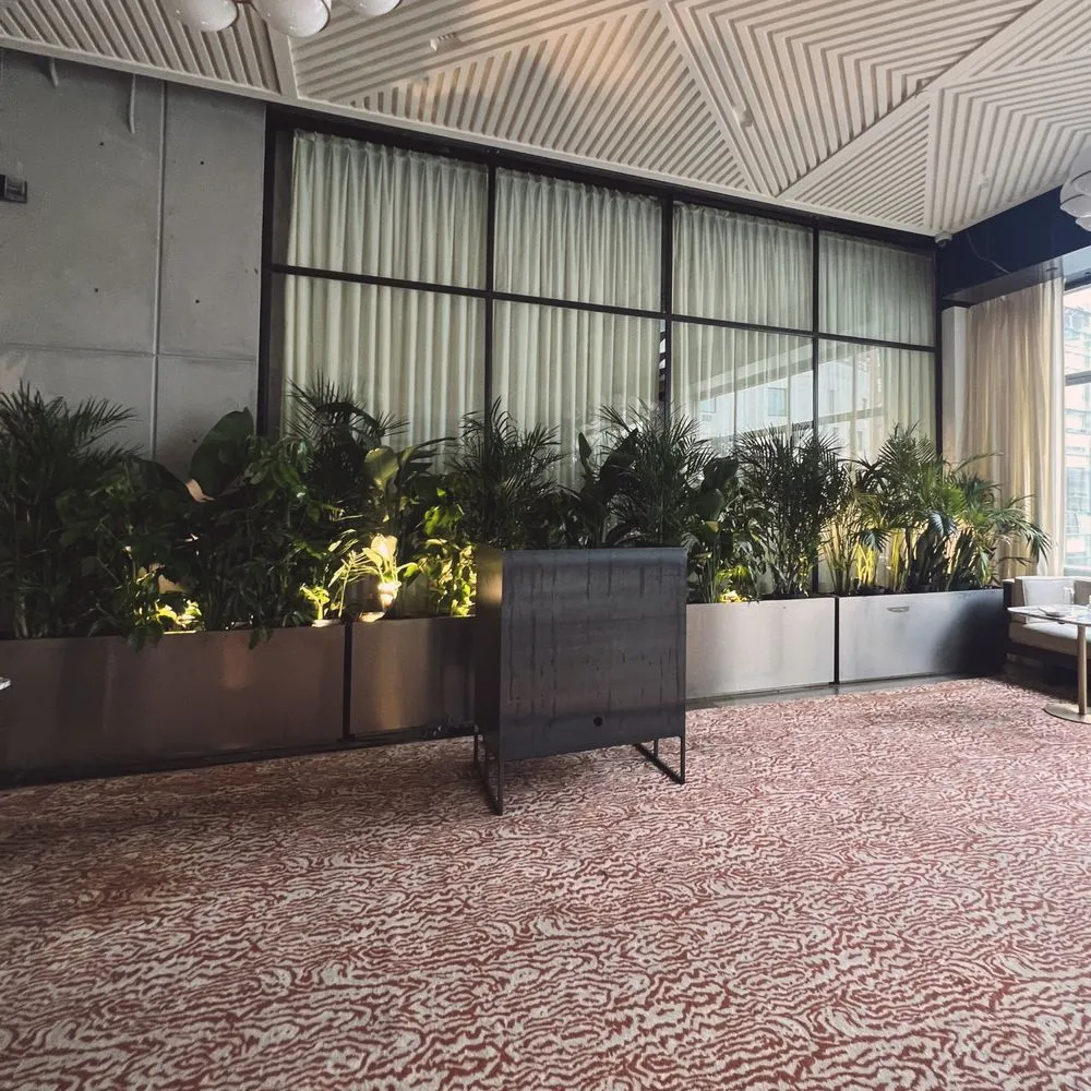 Trusted lawn mowing service for homes across Brooklyn, NY - Variegated NYC