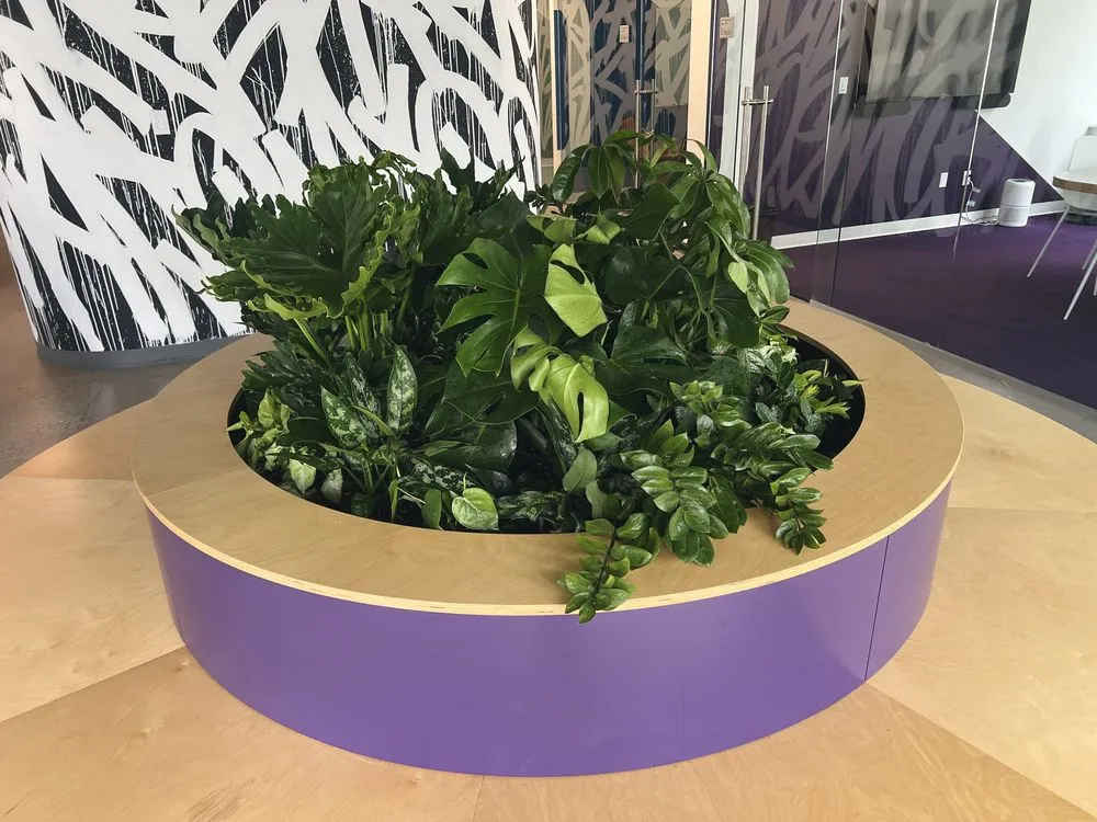 Top-rated garden landscaping in Brooklyn, NY by Variegated NYC