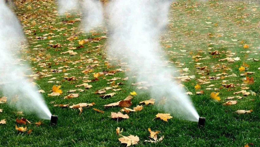 Custom landscaping services for beautiful yards across Medford, NY - Variety Lawn Care