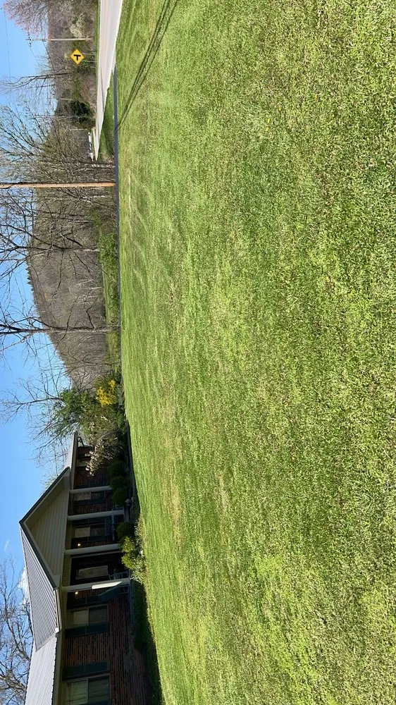 Professional yard cleanup service in Manchester, KY by Variety Services