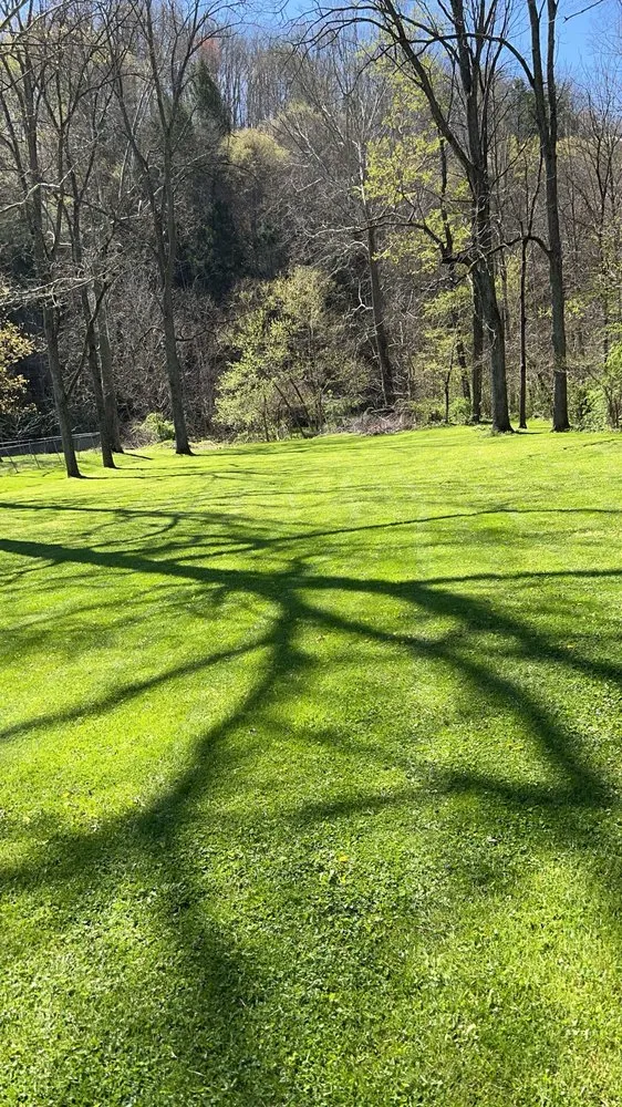 Affordable yard cleanup service for outdoor upgrades across Manchester, KY - Variety Services