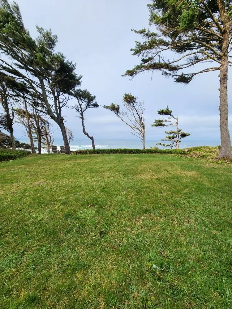 Professional residential landscaping in Newport, OR by Various Services Lawns Plus