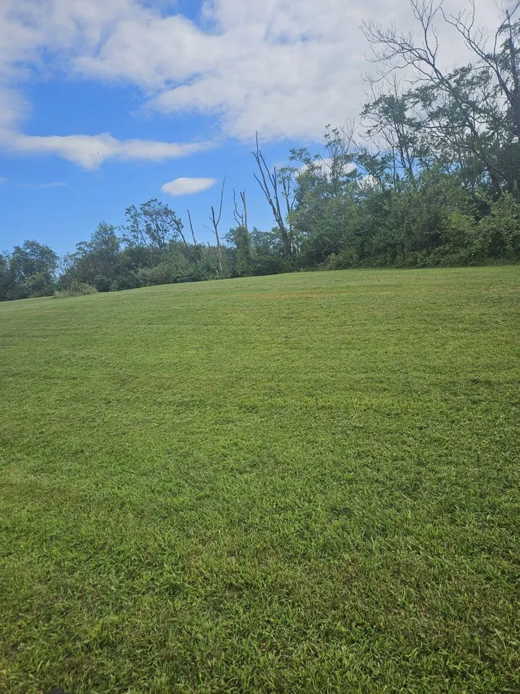 Local landscape design in Shoemakersville, PA by Varners Tree & Lawn Care