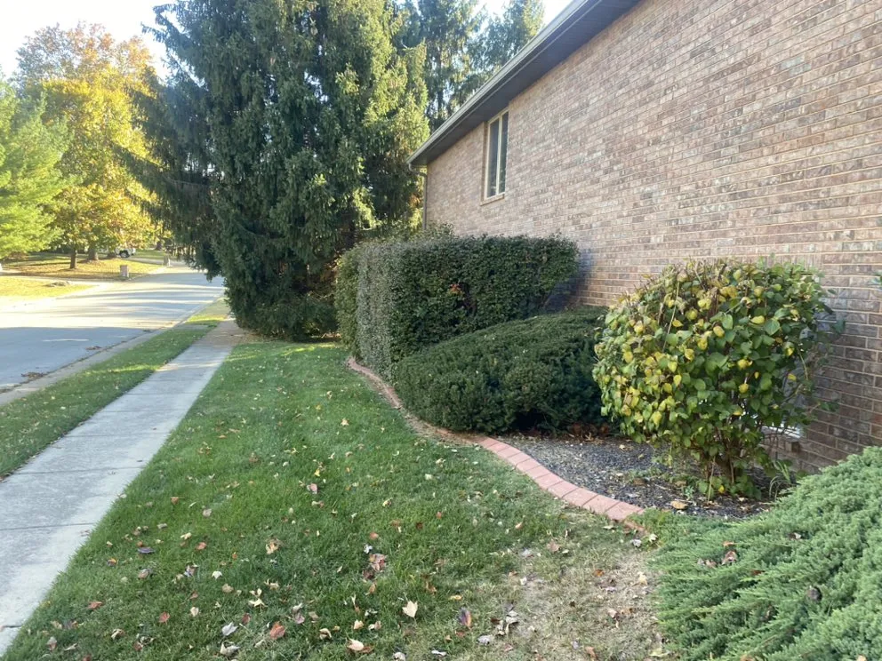 Affordable lawn care service in Springfield, MO - Varsachi Landscaping