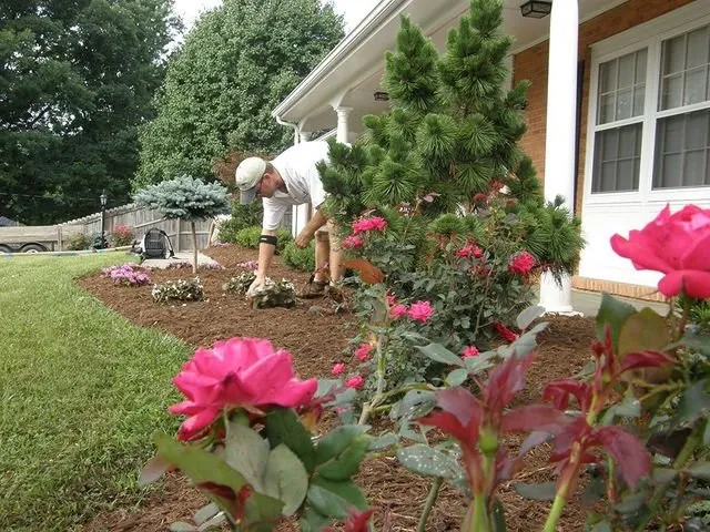Local outdoor landscaping experts serving Roanoke, VA - Varsity Landscaping & Grounds
