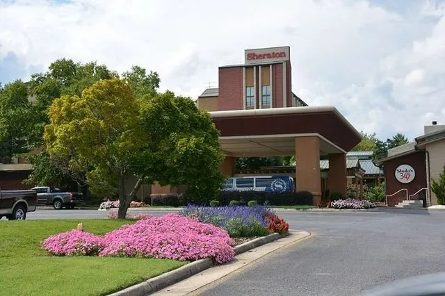 Affordable yard cleanup service in Roanoke, VA by Varsity Landscaping & Grounds