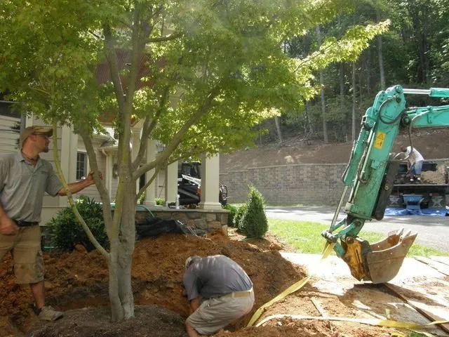 Reliable yard cleanup service for beautiful yards in Roanoke, VA by Varsity Landscaping & Grounds
