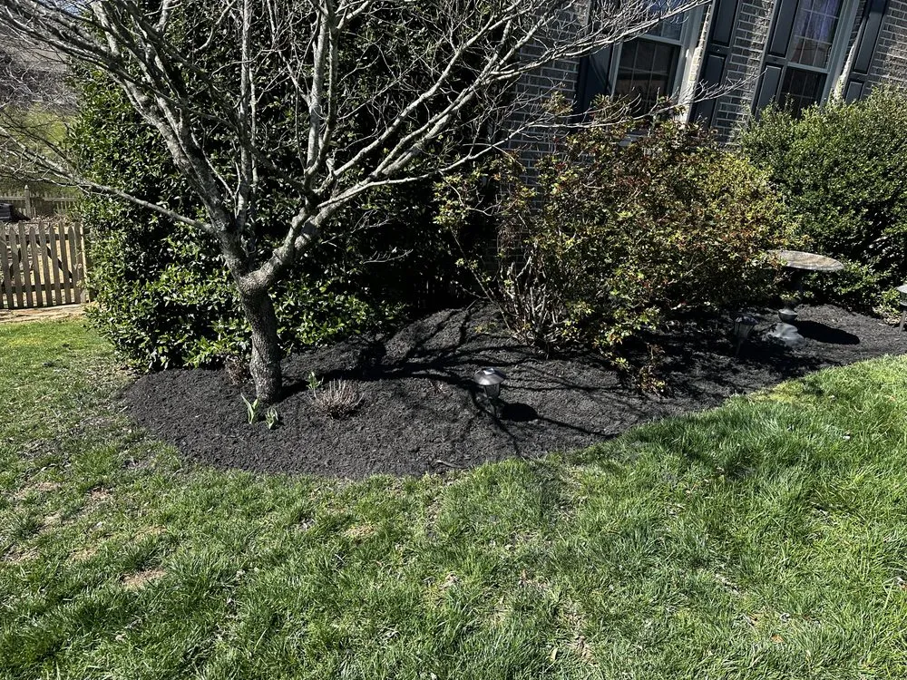 Local lawn mowing service experts serving Kimberlin Heights, TN - Varsity Lawn Care