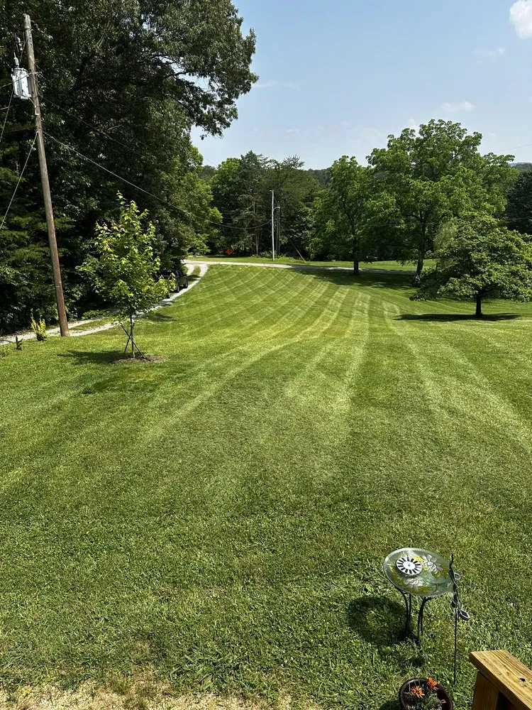 Top-rated residential landscaping for year-round maintenance in Kimberlin Heights, TN by Varsity Lawn Care
