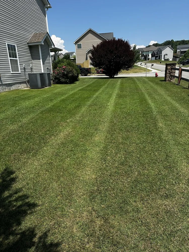 Reliable yard cleanup service for year-round maintenance in Kimberlin Heights, TN by Varsity Lawn Care