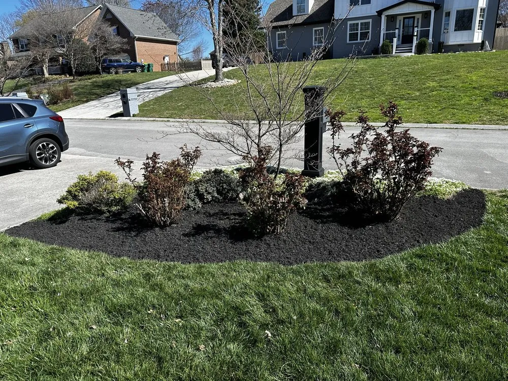 Local lawn mowing service in Kimberlin Heights, TN - Varsity Lawn Care