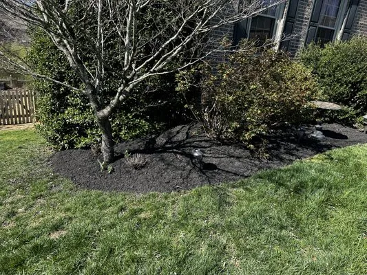 Varsity Lawn Care