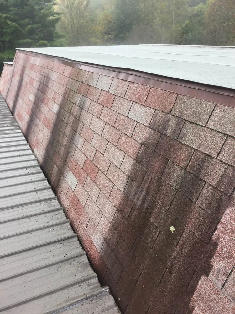 Reliable yard cleanup service in Asheville, NC by Vasquez Construction