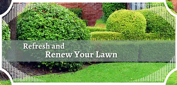 Reliable yard cleanup service for homes in Asheville, NC by Vasquez Construction