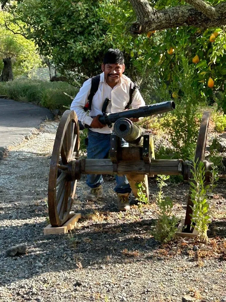 Professional yard cleanup service for homes across Hollister, CA - Vasquez Family Yard Garden