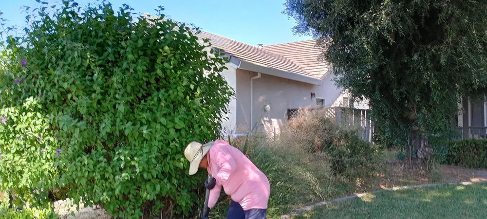 Trusted outdoor landscaping in Hollister, CA - Vasquez Family Yard Garden