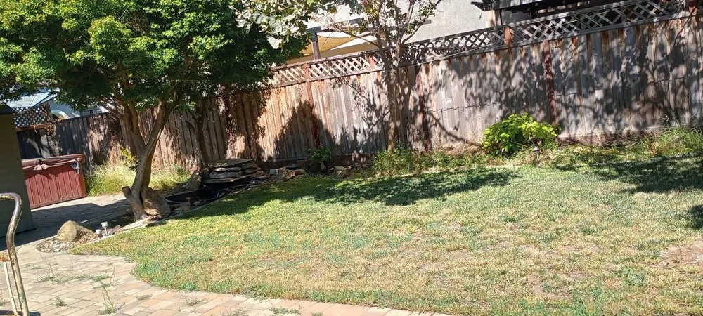 Top-rated landscaping services in Hollister, CA - Vasquez Family Yard Garden