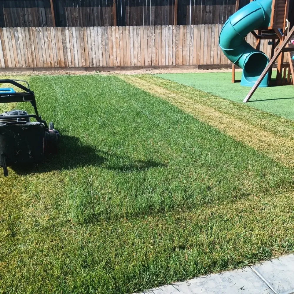 Affordable lawn care service in Hollister, CA by Vasquez Family Yard Garden