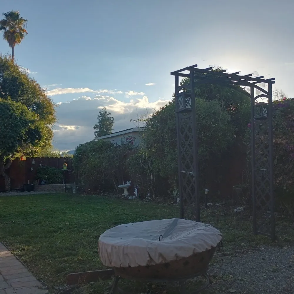 Reliable yard maintenance experts serving Hollister, CA - Vasquez Family Yard Garden